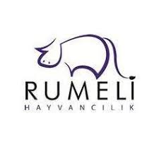 Brand Name : Brand Short Description Type Here.